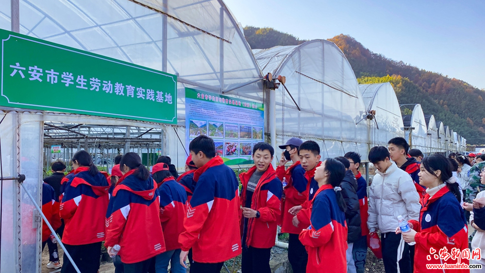 行走的思政课 铸魂的实践地——金寨熊家河村打造“思政+研学”基地新样板