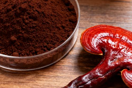 2025破壁灵芝孢子粉十大品牌介绍！全新从高品质到含量，全方位为你解析！