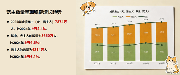 合规筑基，实力护航——顽拍时尚人宠摄影，合作创业的安心之选