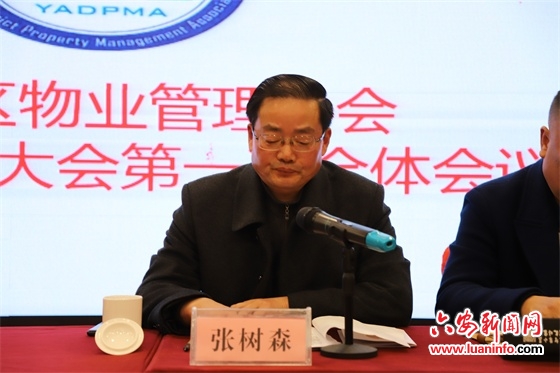 裕安区物业管理协会成立大会顺利召开【图文】