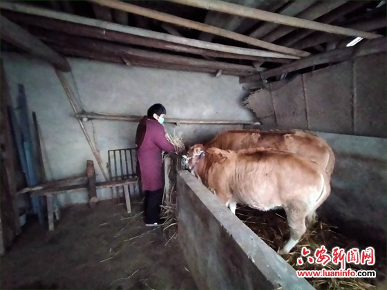 舒城：一手抓防控，一手抓扶贫