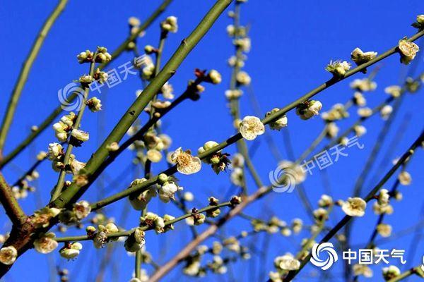 华北东北明日雨雪铺展 江南等地一路回暖