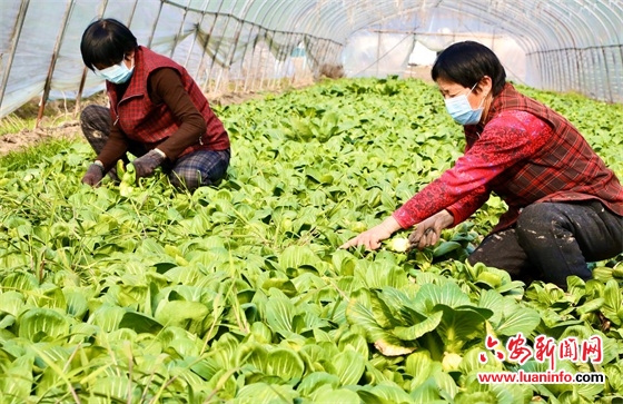 不负春光 不误农时