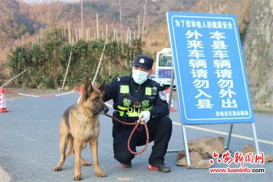 警察、篱笆和狗