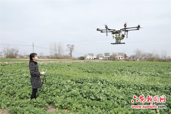 舒城：200余名农技人员为春耕保驾护航