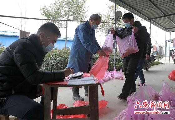 政府公众号发信息 滞销农产品销路宽