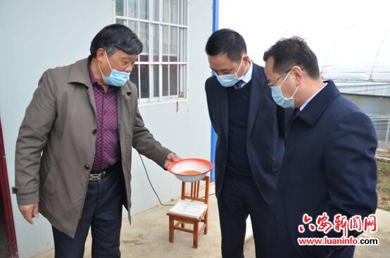 抗疫情送温暖 小鸡蛋显爱心