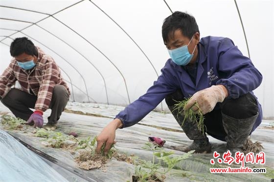 疫情下开启“春忙”模式