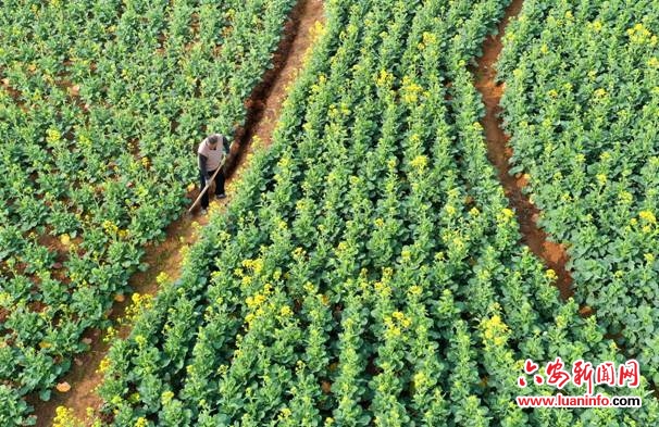 不负春光万象“耕”新