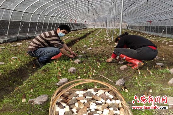 舒城经济开发区三里河社区党员积极为疫情防控踊跃捐