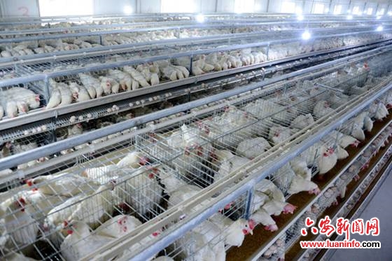 斑竹园镇：一个乡镇企业在疫情中“浴火重生”