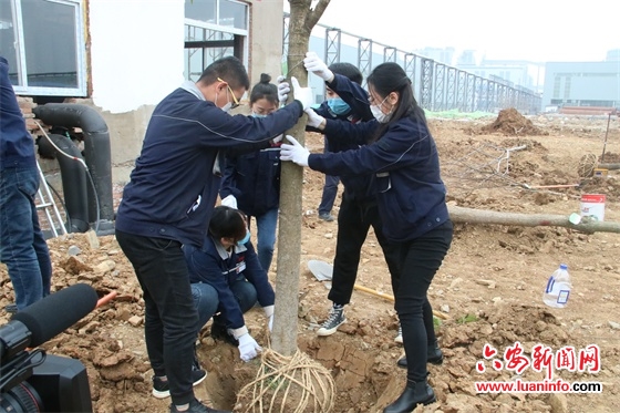 植树催浓春意，播绿造福后人