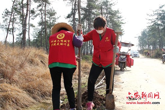 叶集区姚李镇新时代文明实践所：开展植树造林 美化家园活动