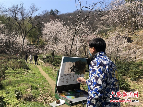 舒城县张母桥镇：种下一片花海 富了一方百姓