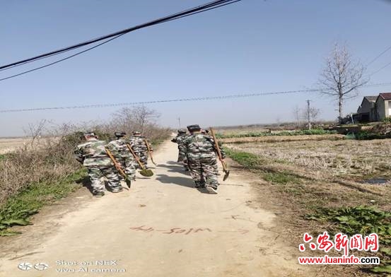 霍邱花园镇：发动民兵参加春季铲毒