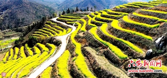 全国免票60天 金寨旅游放大招