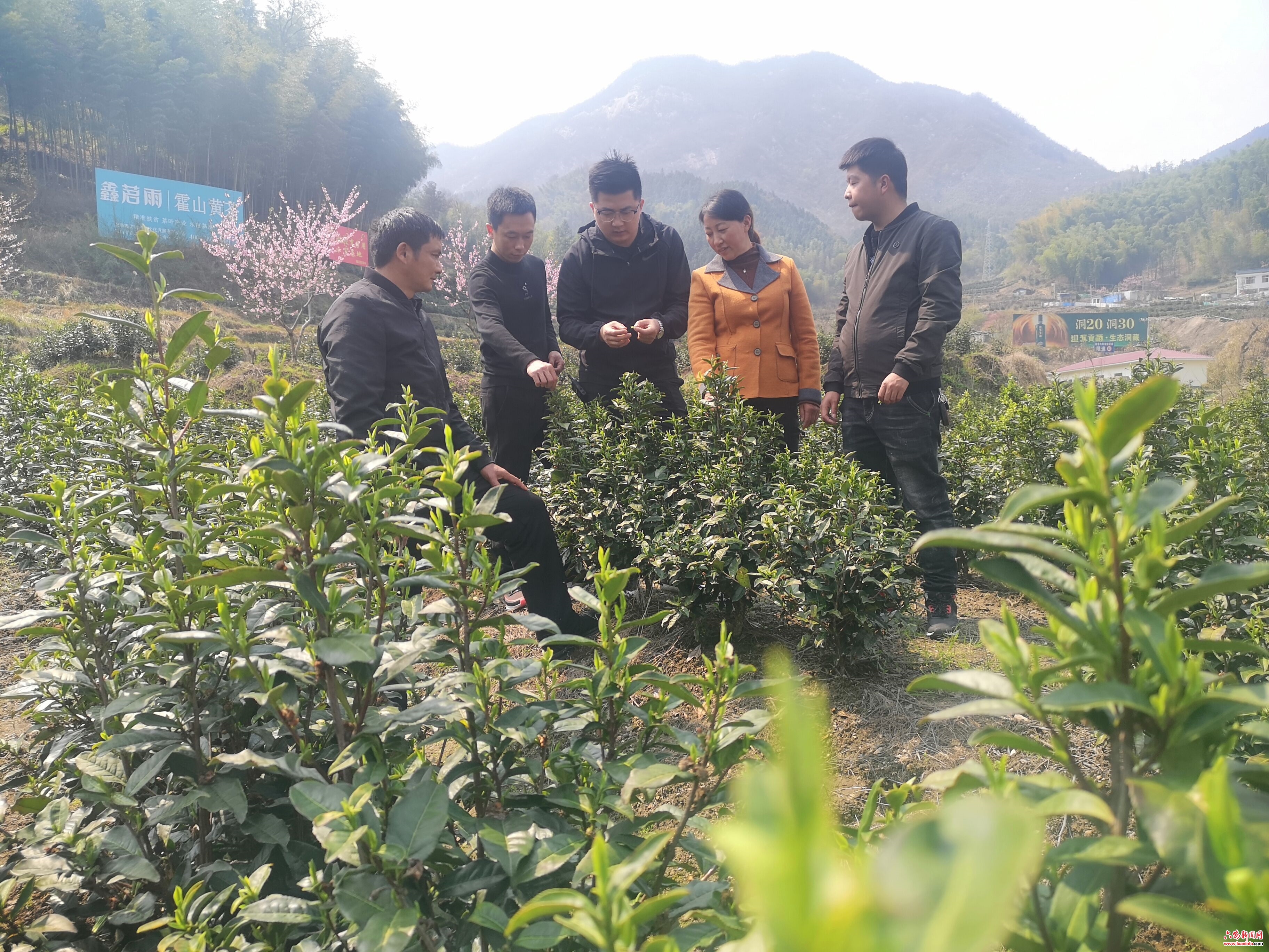 城里人走上“山里路”