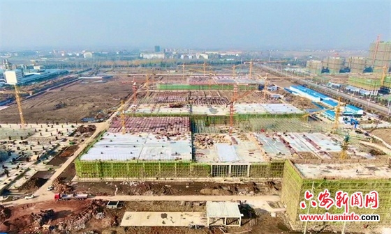 打造我省首家网营物联智慧供应链运营中心