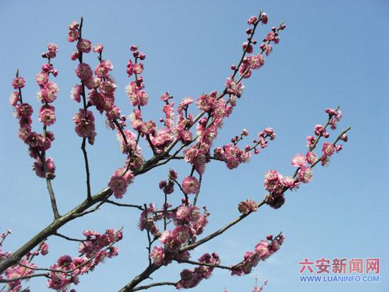 小记者才艺作品