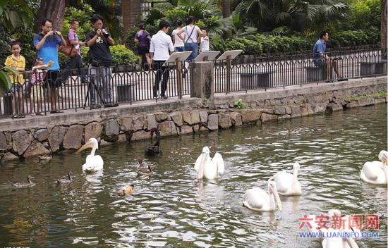 动物园游记