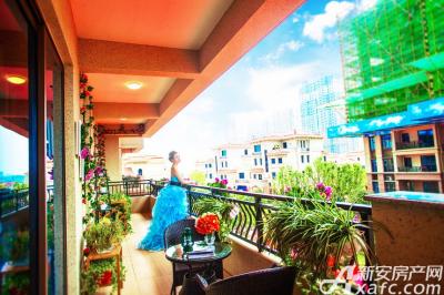 碧桂园·天玺碧桂园·天玺8月实景