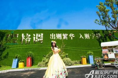 碧桂园·天玺碧桂园·天玺8月实景